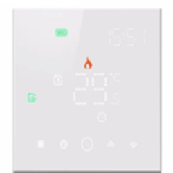 EcoTerm Smart White